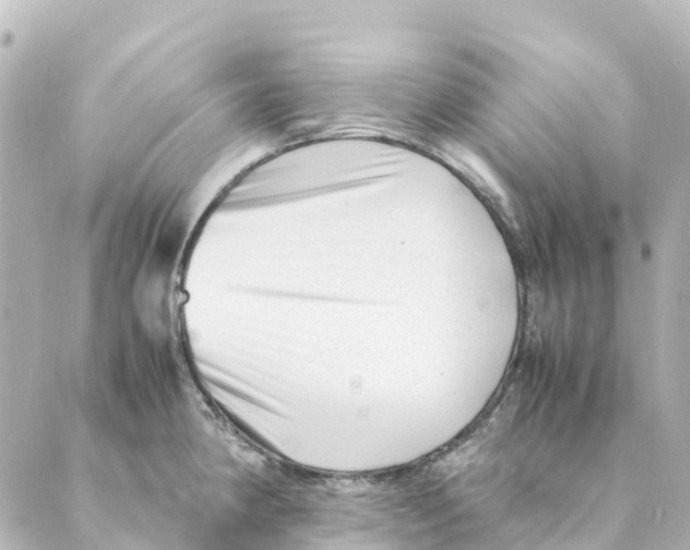 X0000088601190200706221358