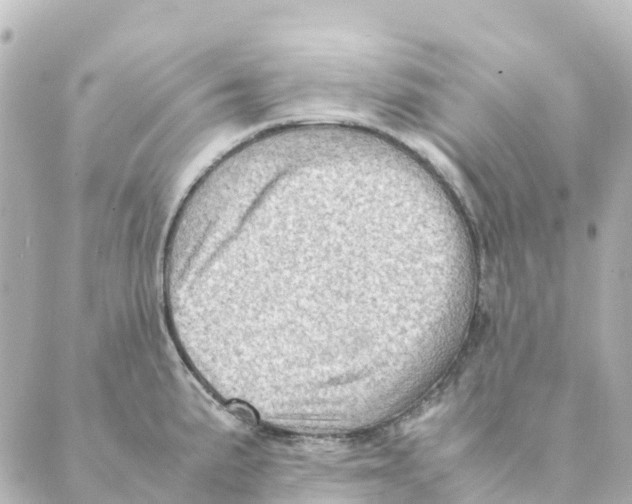 X0000088601191200706221358