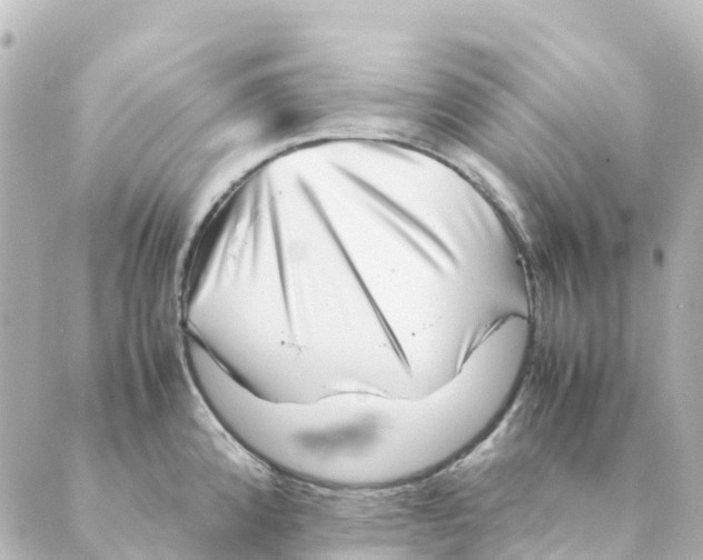 X0000088601192200706221358