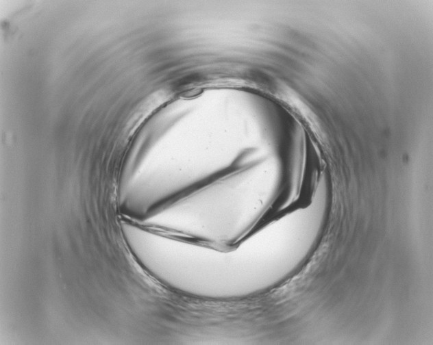 X0000088601193200706221358