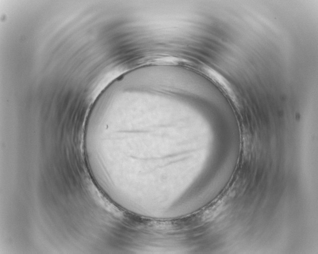 X0000088601194200706221358