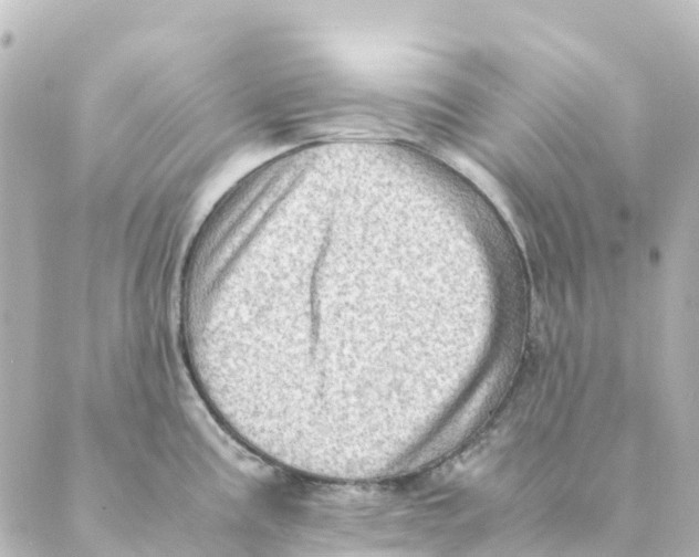 X0000088601195200706221358