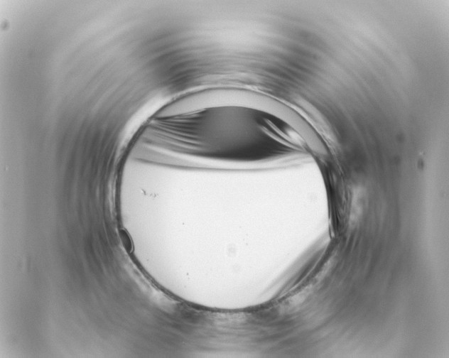 X0000088601196200706221358