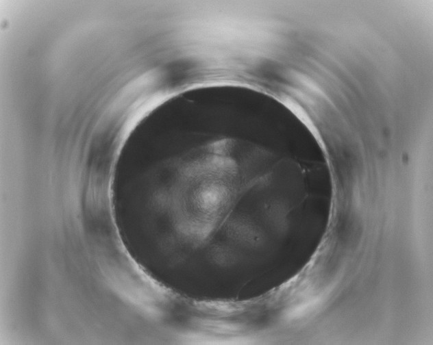 X0000088601197200706221358