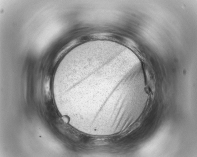 X0000088601198200706221358