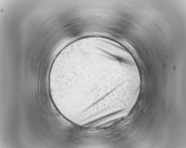 X0000088601199200706221358