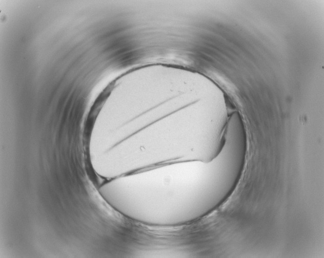 X0000088601200200706221358