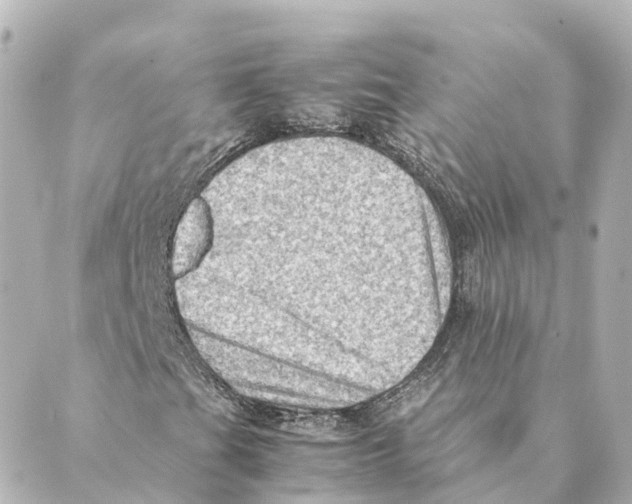 X0000088601201200706221357