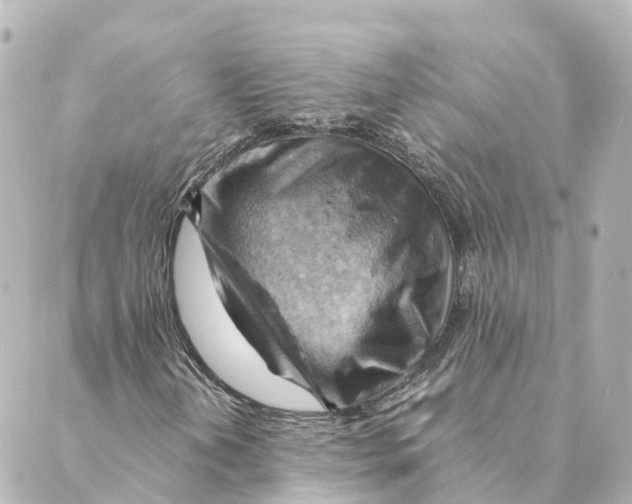 X0000088601202200706221357