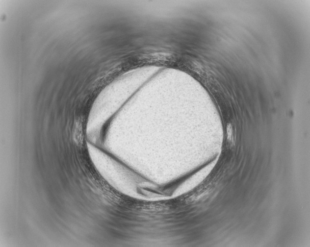 X0000088601203200706221357