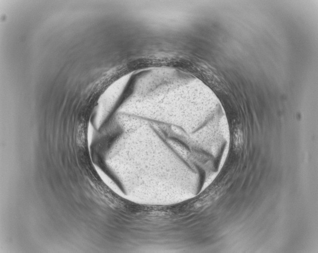 X0000088601204200706221357