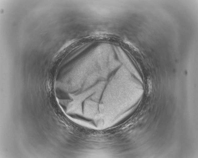 X0000088601206200706221357