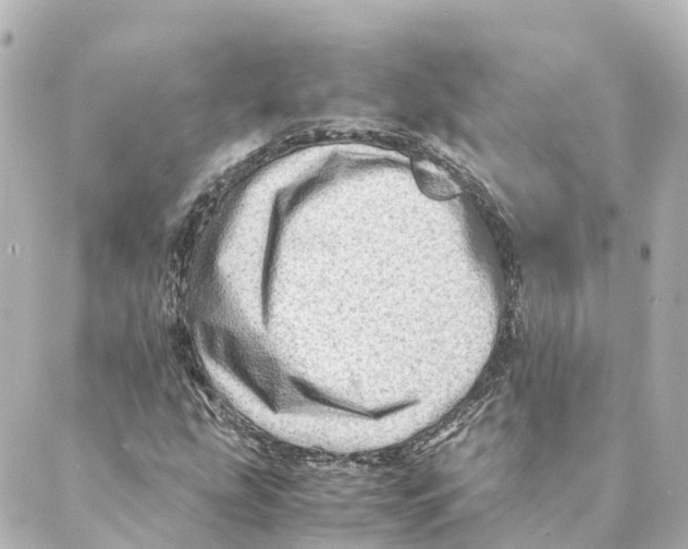 X0000088601207200706221357