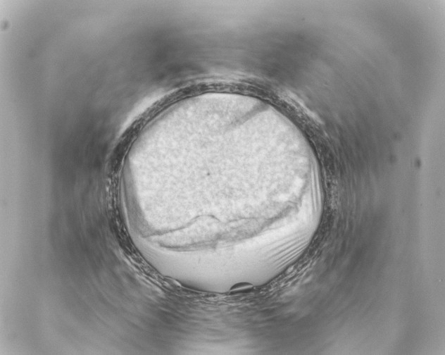 X0000088601208200706221357