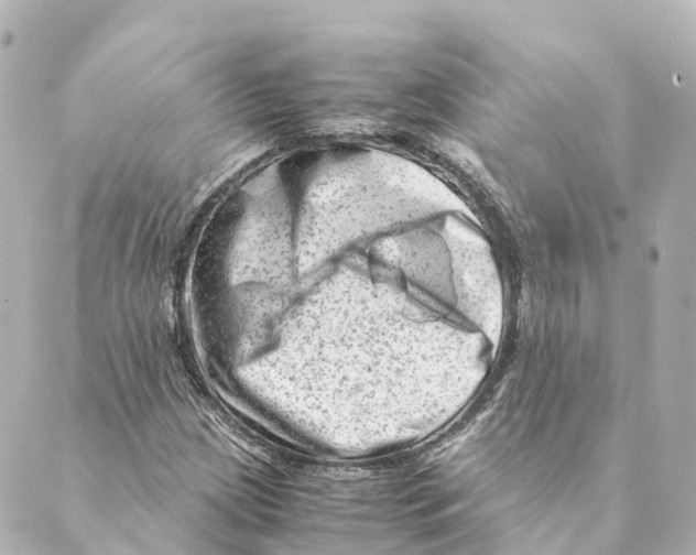 X0000088601209200706221357