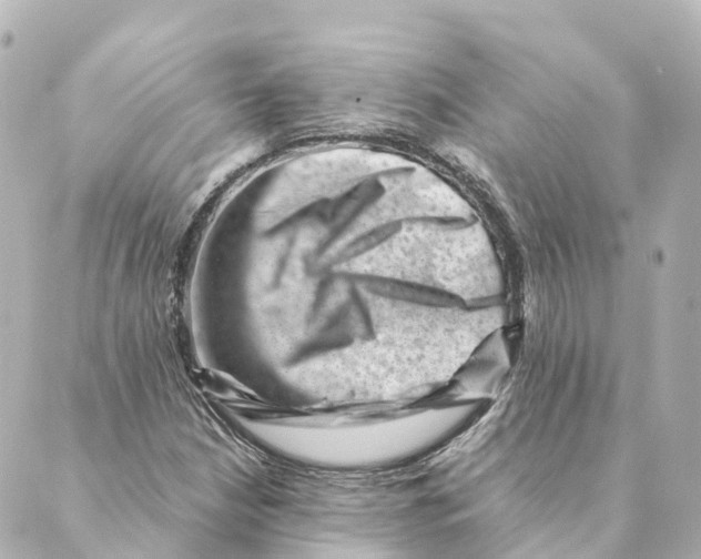 X0000088601210200706221357