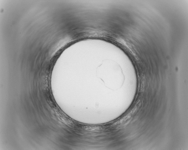 X0000088601211200706221357