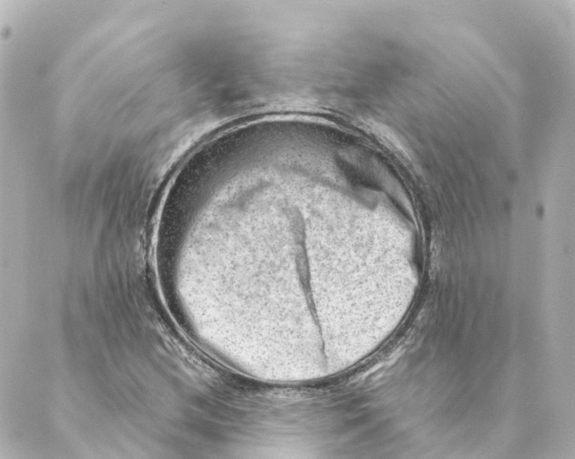 X0000088601212200706221357