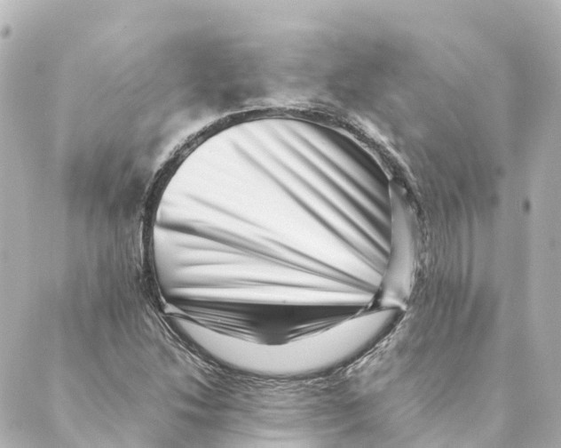 X0000088601214200706221357