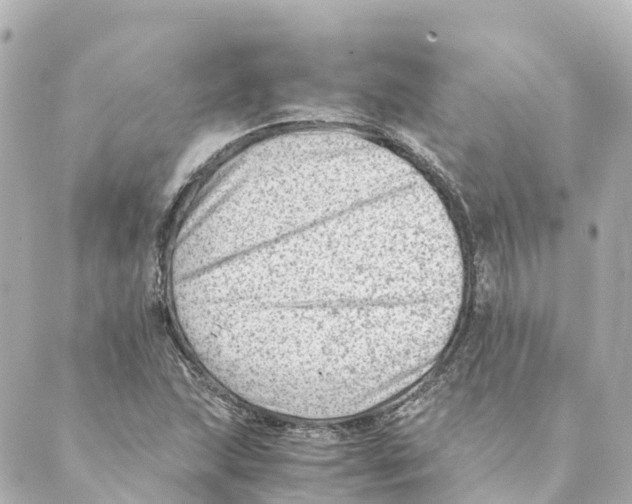 X0000088601215200706221357