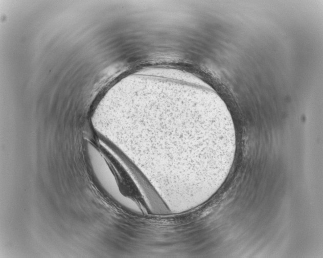 X0000088601217200706221357