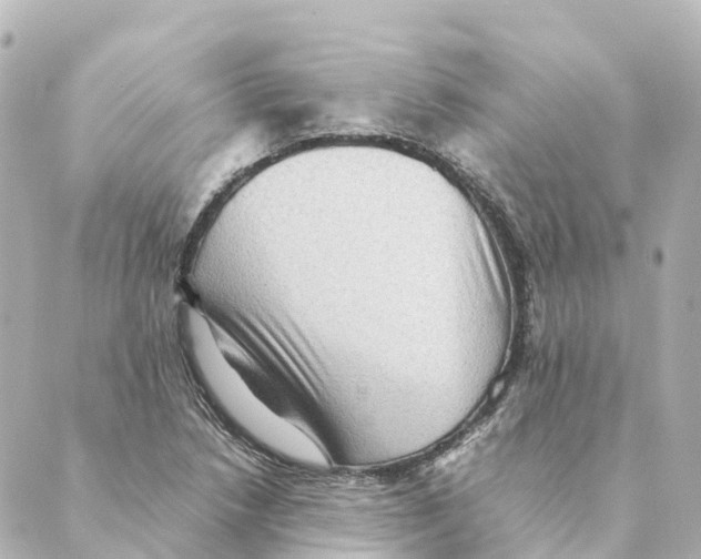 X0000088601218200706221357