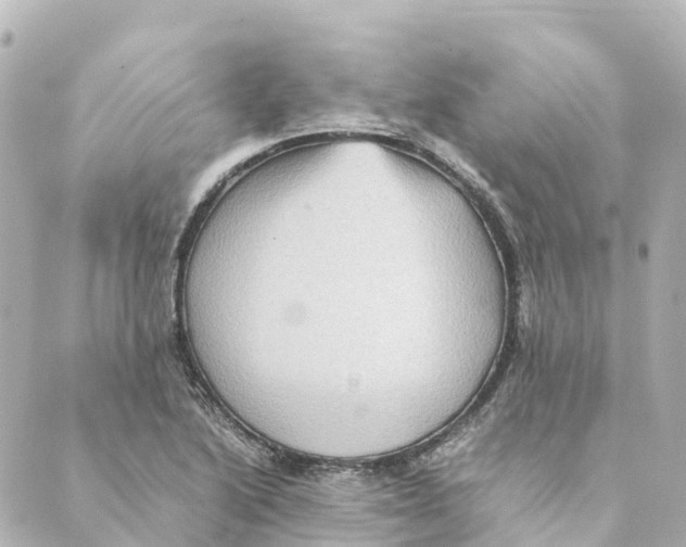 X0000088601222200706221357