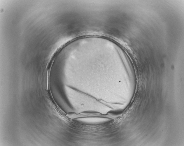 X0000088601223200706221357