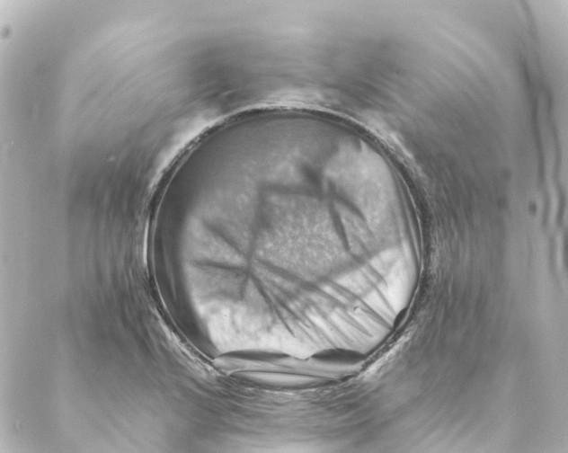 X0000088601224200706221357