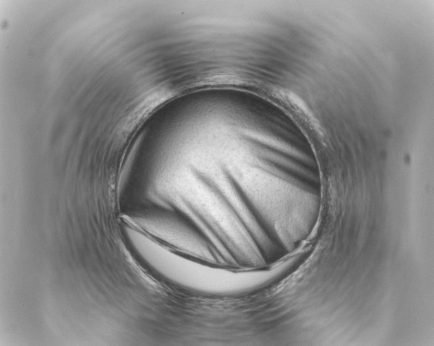 X0000088601225200706221357