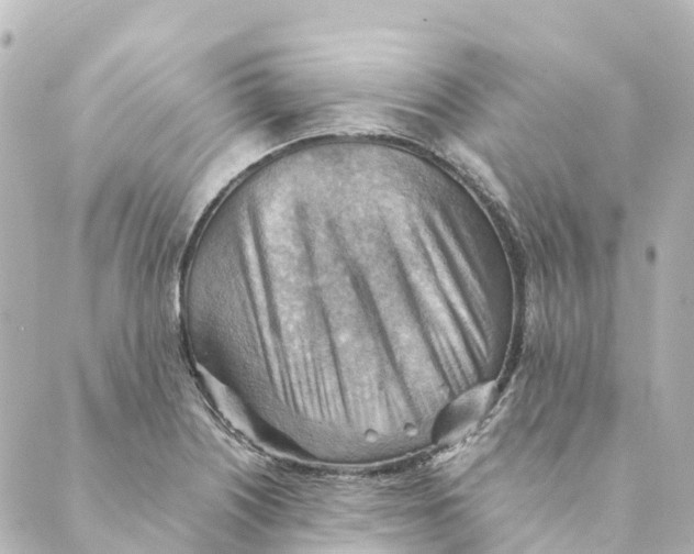 X0000088601226200706221357