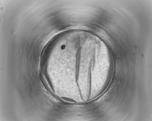 X0000088601228200706221358