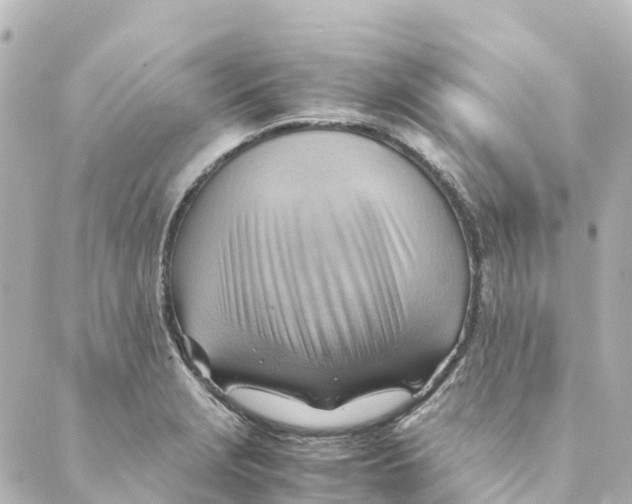 X0000088601229200706221358