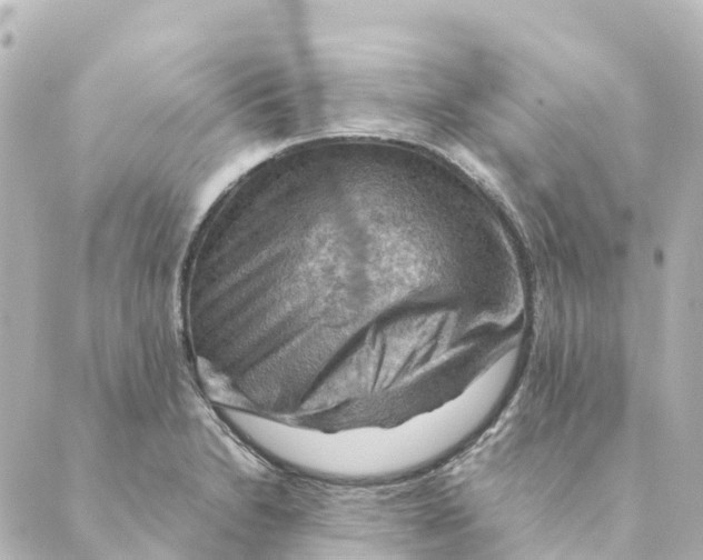 X0000088601230200706221358