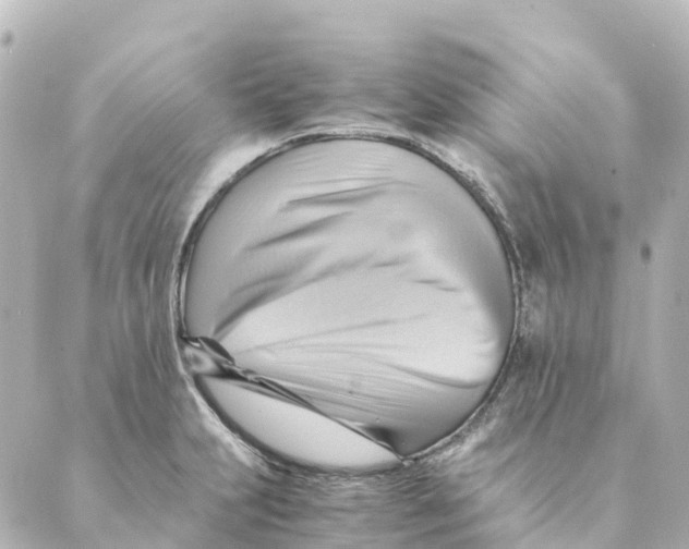 X0000088601231200706221358