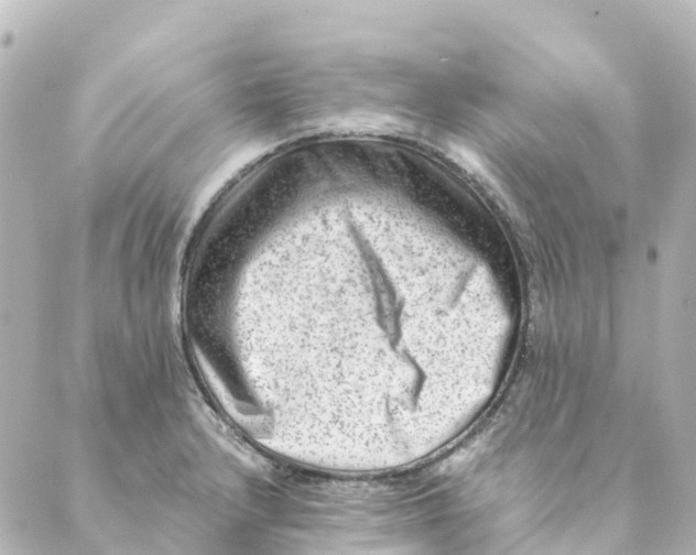 X0000088601232200706221358