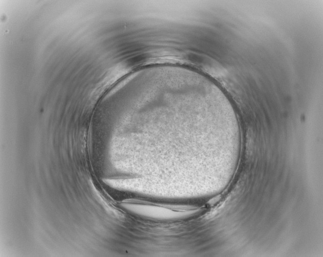 X0000088601233200706221358