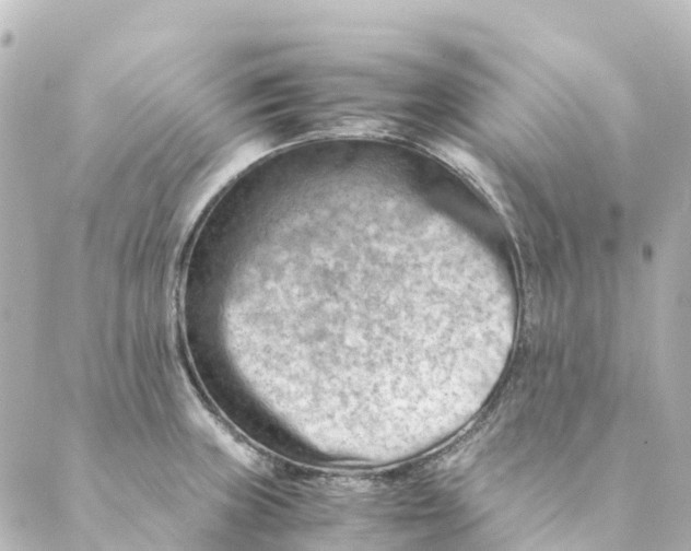 X0000088601235200706221358