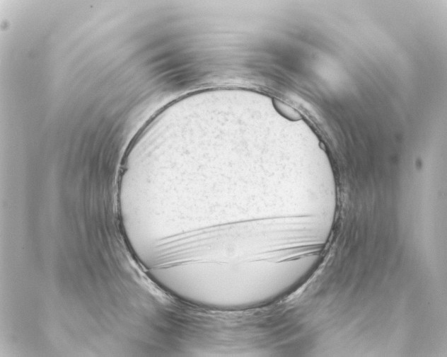 X0000088601236200706221358