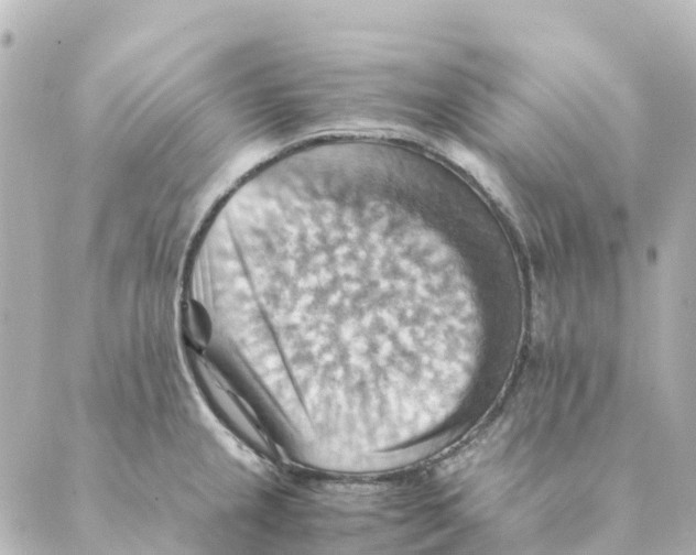 X0000088601237200706221358