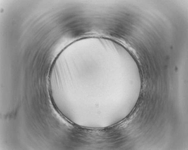 X0000088601239200706221358