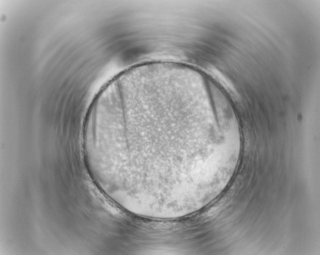 X0000088601240200706221358