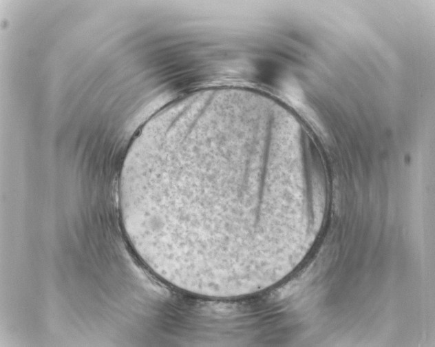 X0000088601241200706221358