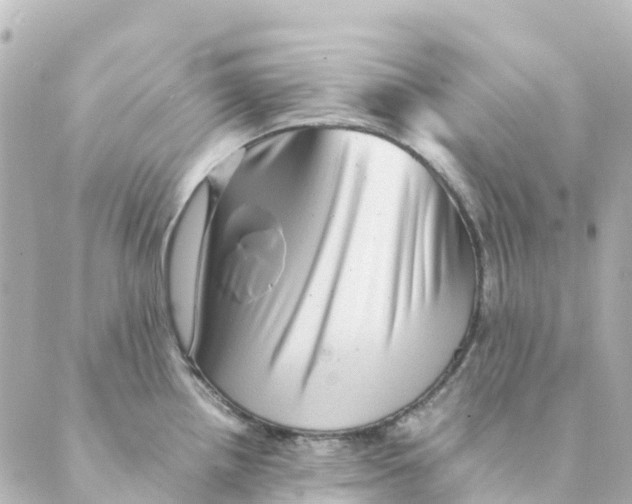 X0000088601242200706221358