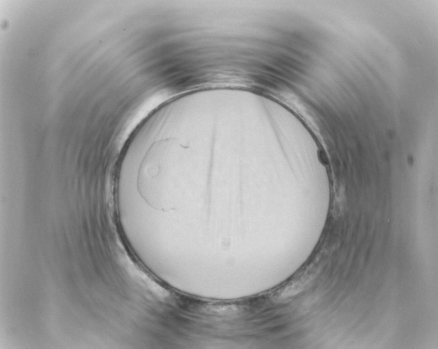 X0000088601243200706221358