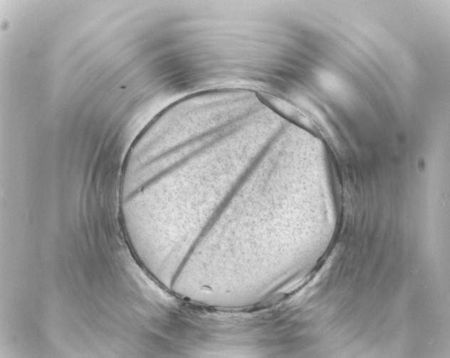 X0000088601244200706221358