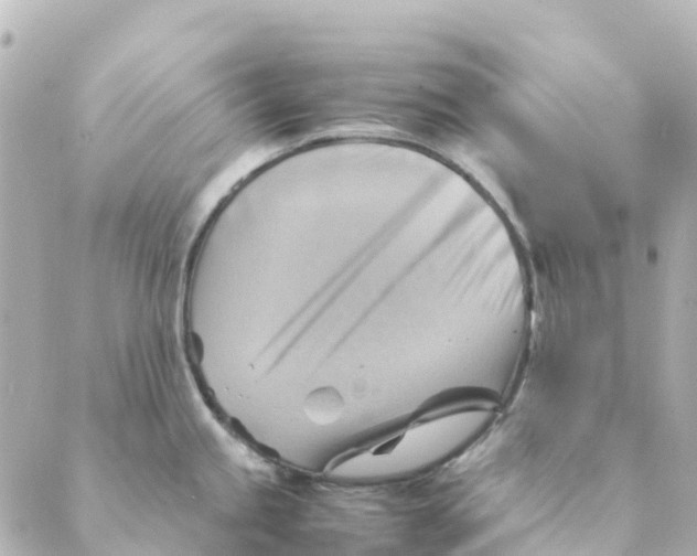 X0000088601245200706221358