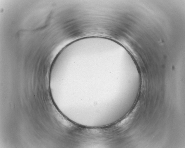 X0000088601246200706221358