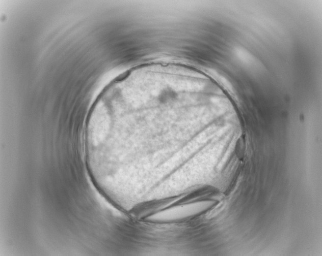 X0000088601247200706221358