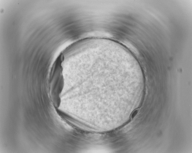 X0000088601248200706221358